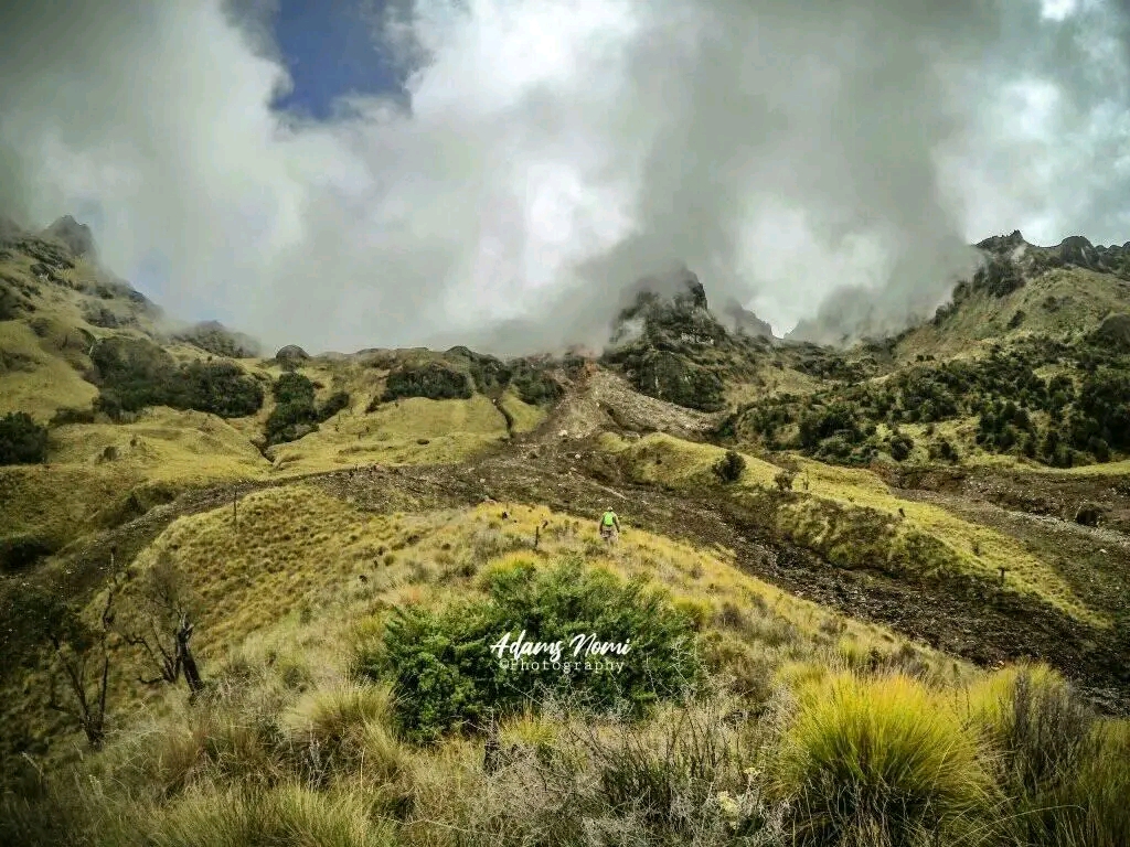 Highland Wilderness