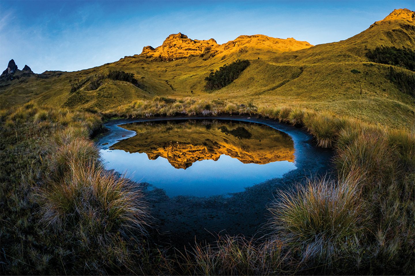 Summit Trek Group